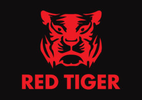 레드타이거(Red Tiger) 슬롯 리뷰 | 지금 바로 플레이 가능한 온라인카지노 TOP5